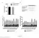 Fig. 07 - Method of promoting remyelination