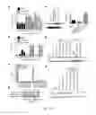 Fig. 18 - Method of promoting remyelination