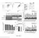 Fig. 20 - Method of promoting remyelination