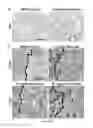 Fig. 23 - Method of promoting remyelination