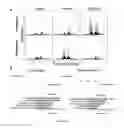 Fig. 25 - Method of promoting remyelination