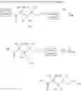 Fig. 33 - Compounds, compositions, and methods for treatment of diseases involving acidic or hypoxic diseased tissues