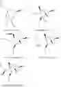 Fig. 263 - Oligonucleotides, compositions and methods thereof