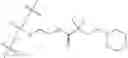 Fig. 41 - Oligonucleotides, compositions and methods thereof