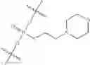 Fig. 43 - Oligonucleotides, compositions and methods thereof