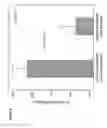 Fig. 07 - Particulate formulations for enhancing growth in animals