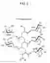 Fig. 03 - CELLS LABELLED WITH LIPID CONJUGATES AND METHODS OF USE THEREOF