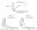 Fig. 13 - CELLS LABELLED WITH LIPID CONJUGATES AND METHODS OF USE THEREOF