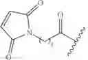 Fig. 484 - Steroids and antibody-conjugates thereof