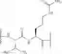 Fig. 488 - Steroids and antibody-conjugates thereof