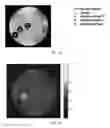 Fig. 07 - CEST systems exhibiting a concentration independent responsiveness