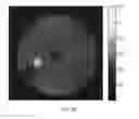 Fig. 08 - CEST systems exhibiting a concentration independent responsiveness