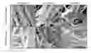Fig. 01 - Nanofiber structures and methods of use thereof