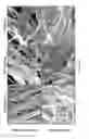 Fig. 07 - Nanofiber structures and methods of use thereof