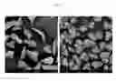Fig. 06 - Dried implant composition and injectable aqueous implant formulation