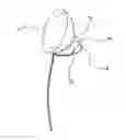 Fig. 01 - INSIDE BRA BREAST CUP BREAST PUMP