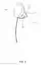 Fig. 02 - INSIDE BRA BREAST CUP BREAST PUMP