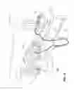 Fig. 02 - Vent and vent adaptor for patient interface