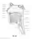 Fig. 06 - Vent and vent adaptor for patient interface