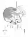 Fig. 08 - Vent and vent adaptor for patient interface