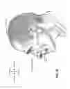 Fig. 09 - Vent and vent adaptor for patient interface