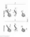 Fig. 02 - GYROSCOPIC APPARATUSES AND METHODS OF USING SAME