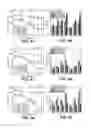 Fig. 07 - Thin film composite membranes for fluid separations