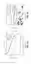Fig. 09 - Thin film composite membranes for fluid separations