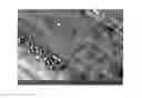 Fig. 01 - Surfaces having tunable asperities and method