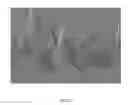 Fig. 06 - Surfaces having tunable asperities and method