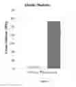 Fig. 06 - ABSORBANT AND REFLECTING BIOCOMPATIBLE DYES FOR HIGHLY ACCURATE MEDICAL IMPLANTS