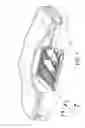 Fig. 02 - Reinforcement structure