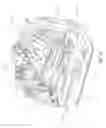 Fig. 28 - Vehicle seating arrangements