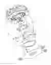 Fig. 06 - Clutch unit
