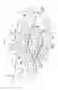 Fig. 02 - Vehicle floor structure