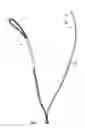 Fig. 02 - ADJUSTABLE SPORTS ROPE