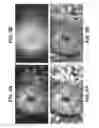 Fig. 06 - Systems and methods for controlling dual modulation displays