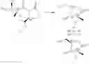 Fig. 49 - Process for preparation of lactone derivatives and intermediates thereof