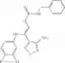 Fig. 110 - Modulators of indoleamine 2,3-dioxygenase and methods of using the same
