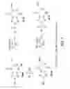 Fig. 08 - SMALL MOLECULES HAVING ANTIVIRAL PROPERTIES
