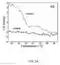 Fig. 06 - Nucleic acids for single-domain antibodies with thermal stability under cytoplasmic expression