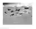 Fig. 02 - Method for producing coagulate