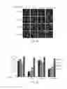 Fig. 08 - RNA PRODUCTS AND USES THEREOF