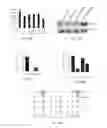 Fig. 30 - RNA PRODUCTS AND USES THEREOF