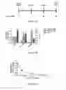 Fig. 07 - TMPRSS6 iRNA compositions and methods of use thereof