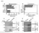 Fig. 02 - Increasing plant oil content by improving activity of acetyl-CoA carboxylase