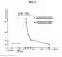 Fig. 07 - PLATING METHOD
