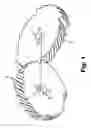 Fig. 02 - NEW TYPE GEAR SYSTEM