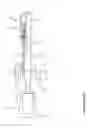 Fig. 06 - Crossbow bowstring positioning system