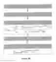 Fig. 04 - Shaped-excitation fluorescence (SEF) microscopy